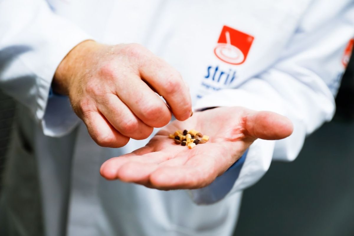 2c1c6bb8-5480-4783-90fb-6a16779fcff5