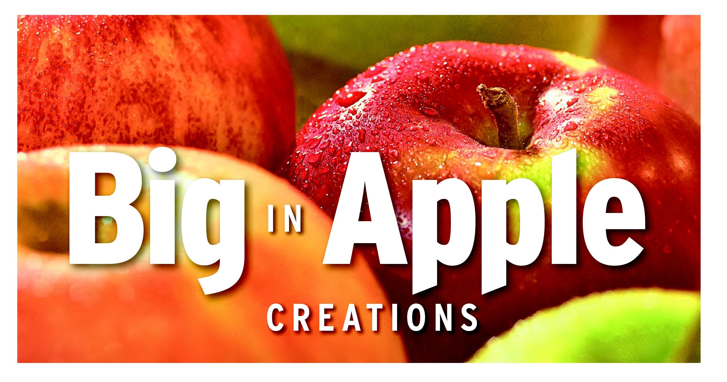 52656290-bd35-47a9-8b74-5b94d4b8809a