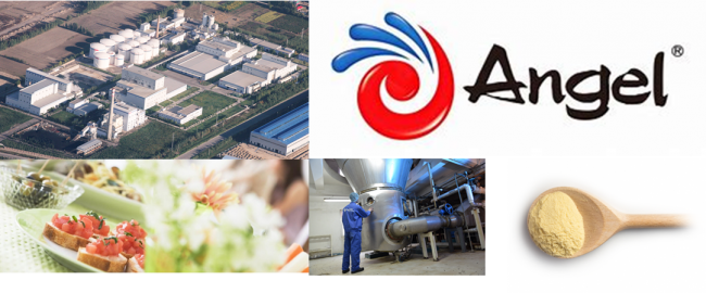 cbf8e407-f1ce-4773-8193-8af0bd4339eb